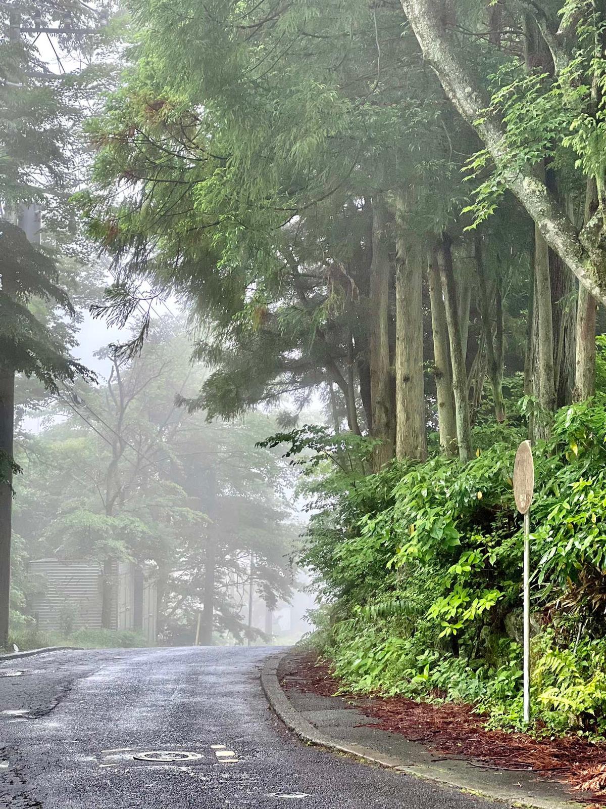 Cover image of Hakone - Beautiful Japan's national park  plan